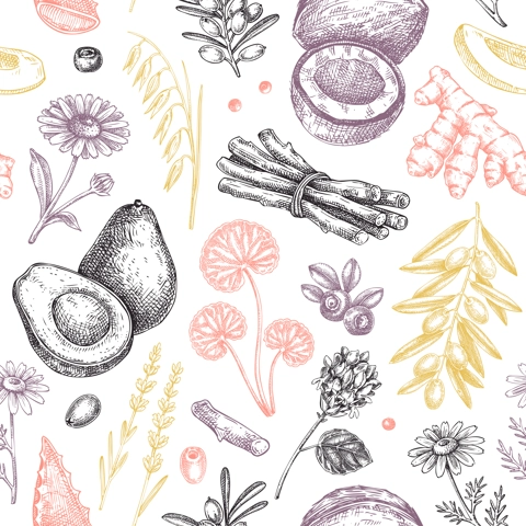 Spa background design. Welness seamless pattern. Medicinal herbs, floral element, natural ingredients sketches. Hand drawn vector illustration.